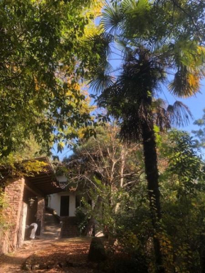 TORRE GARDEN HOME - casa singola nella città di Bolzano con giardino privato Bolzano